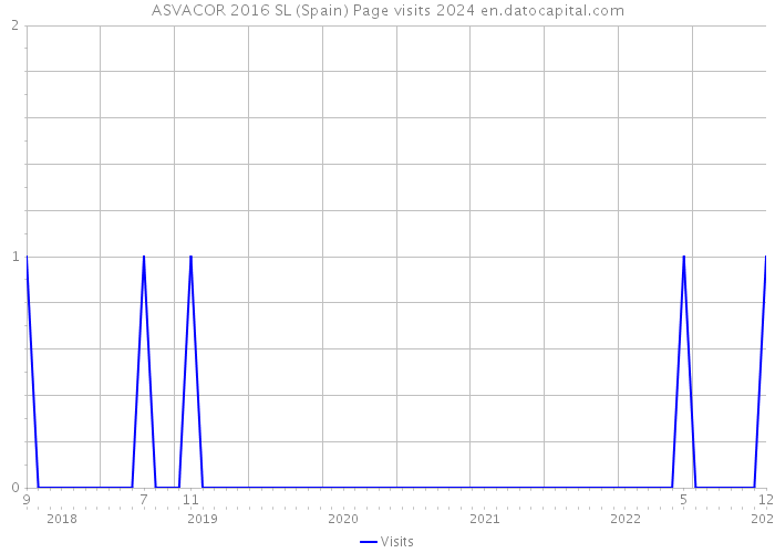 ASVACOR 2016 SL (Spain) Page visits 2024 