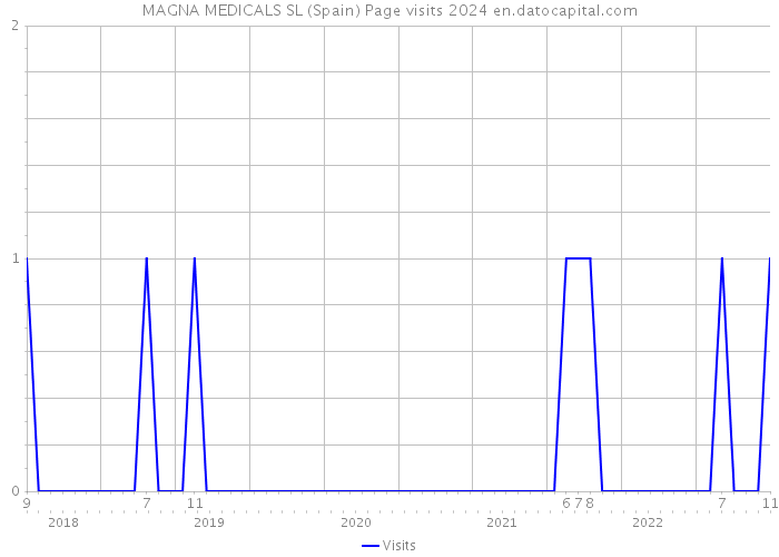 MAGNA MEDICALS SL (Spain) Page visits 2024 