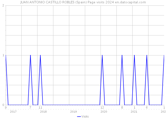 JUAN ANTONIO CASTILLO ROBLES (Spain) Page visits 2024 