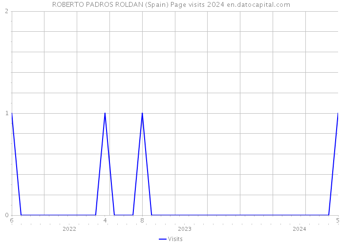 ROBERTO PADROS ROLDAN (Spain) Page visits 2024 