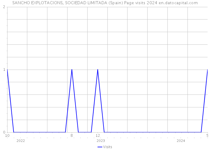 SANCHO EXPLOTACIONS, SOCIEDAD LIMITADA (Spain) Page visits 2024 