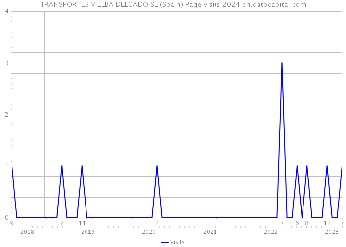 TRANSPORTES VIELBA DELGADO SL (Spain) Page visits 2024 