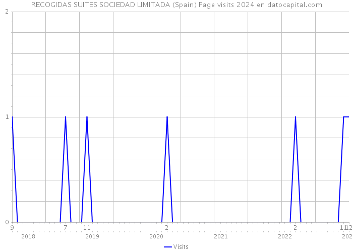 RECOGIDAS SUITES SOCIEDAD LIMITADA (Spain) Page visits 2024 