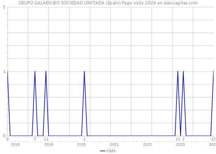 GRUPO GALAEN BIO SOCIEDAD LIMITADA (Spain) Page visits 2024 