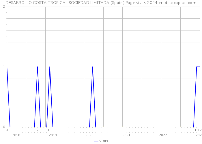 DESARROLLO COSTA TROPICAL SOCIEDAD LIMITADA (Spain) Page visits 2024 