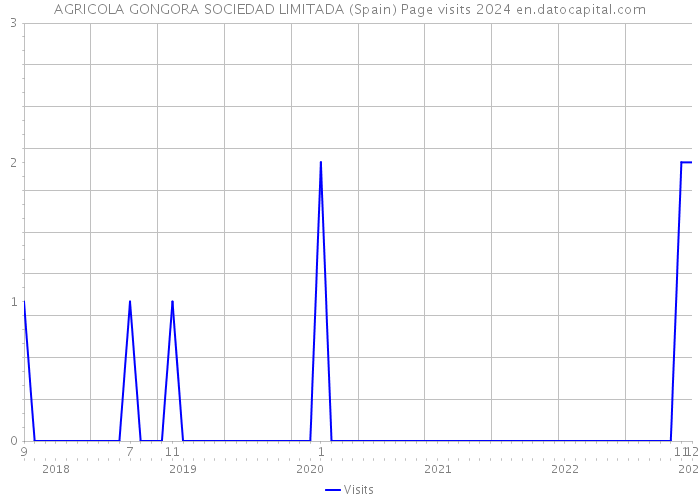 AGRICOLA GONGORA SOCIEDAD LIMITADA (Spain) Page visits 2024 