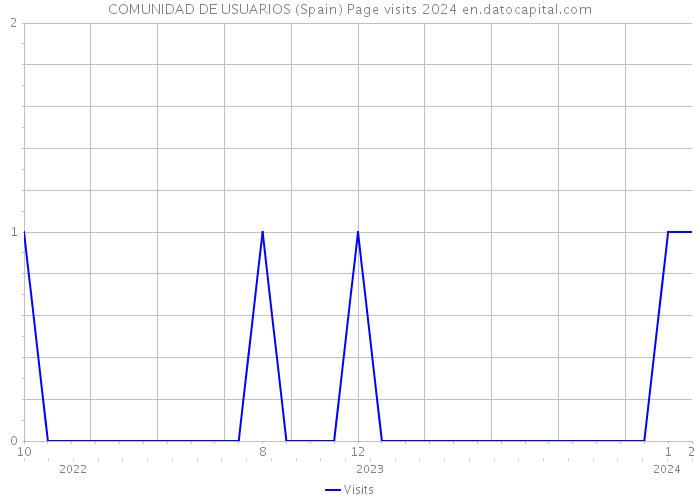 COMUNIDAD DE USUARIOS (Spain) Page visits 2024 