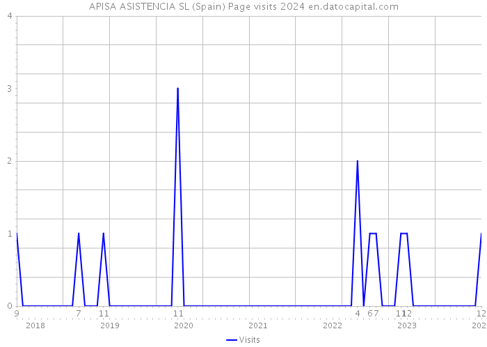 APISA ASISTENCIA SL (Spain) Page visits 2024 