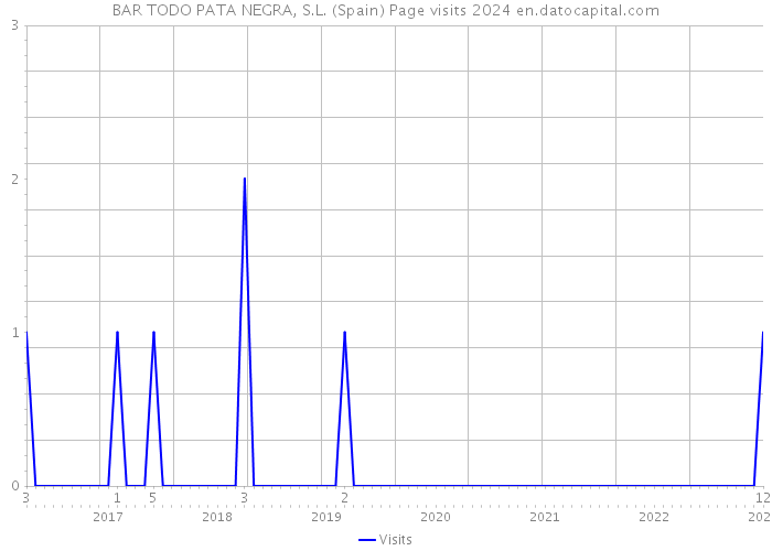 BAR TODO PATA NEGRA, S.L. (Spain) Page visits 2024 