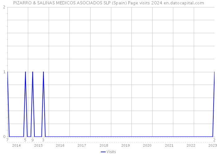 PIZARRO & SALINAS MEDICOS ASOCIADOS SLP (Spain) Page visits 2024 