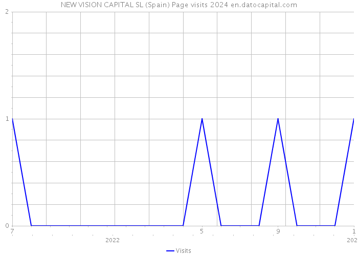 NEW VISION CAPITAL SL (Spain) Page visits 2024 