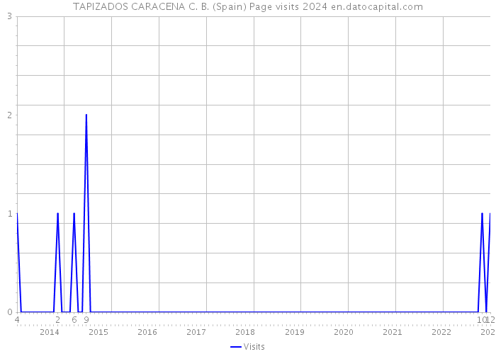 TAPIZADOS CARACENA C. B. (Spain) Page visits 2024 