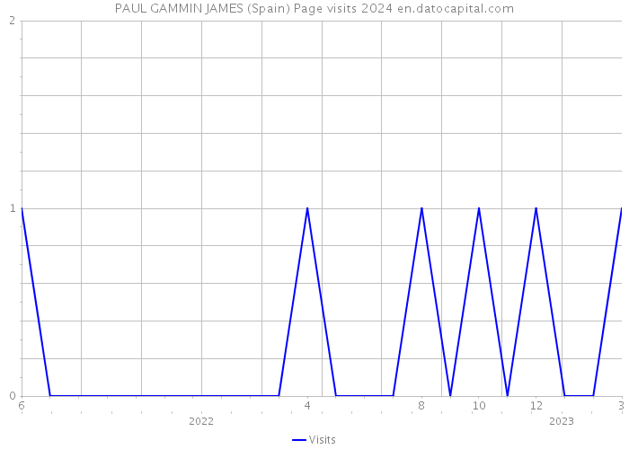 PAUL GAMMIN JAMES (Spain) Page visits 2024 