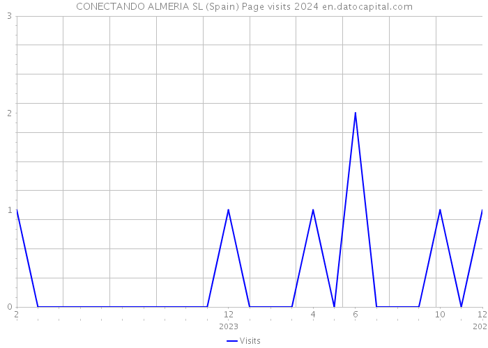 CONECTANDO ALMERIA SL (Spain) Page visits 2024 