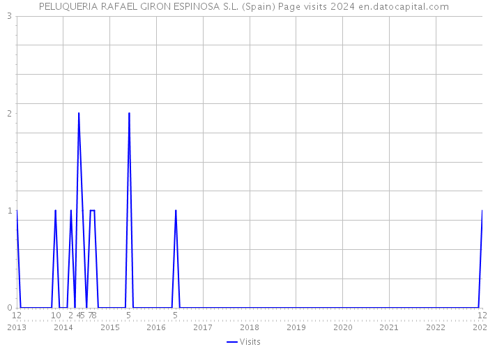 PELUQUERIA RAFAEL GIRON ESPINOSA S.L. (Spain) Page visits 2024 