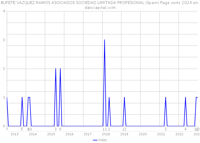 BUFETE VAZQUEZ RAMOS ASOCIADOS SOCIEDAD LIMITADA PROFESIONAL (Spain) Page visits 2024 