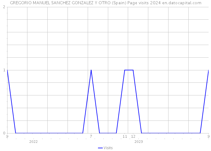 GREGORIO MANUEL SANCHEZ GONZALEZ Y OTRO (Spain) Page visits 2024 