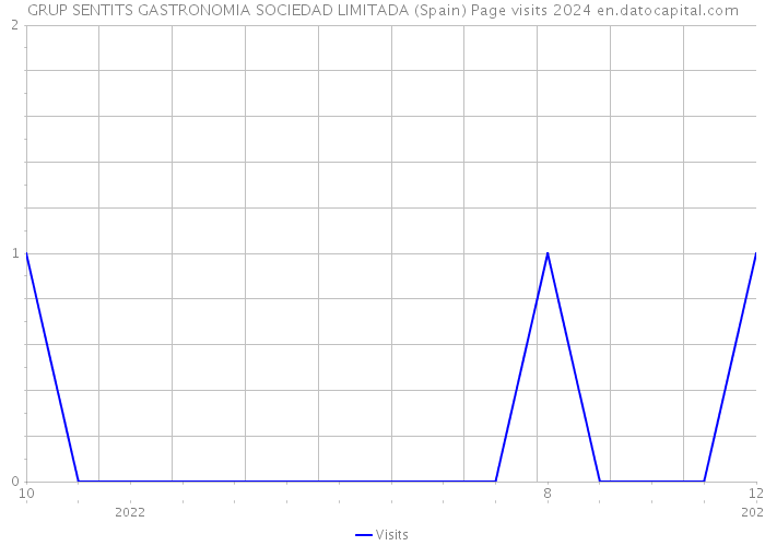 GRUP SENTITS GASTRONOMIA SOCIEDAD LIMITADA (Spain) Page visits 2024 