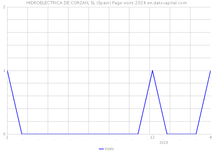 HIDROELECTRICA DE CORZAN, SL (Spain) Page visits 2024 