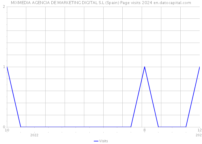 MIXMEDIA AGENCIA DE MARKETING DIGITAL S.L (Spain) Page visits 2024 