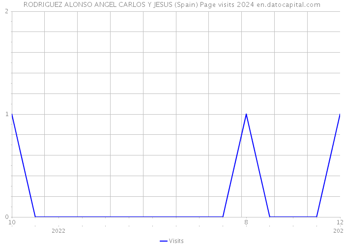 RODRIGUEZ ALONSO ANGEL CARLOS Y JESUS (Spain) Page visits 2024 