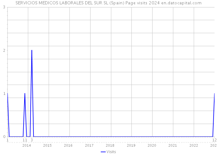 SERVICIOS MEDICOS LABORALES DEL SUR SL (Spain) Page visits 2024 