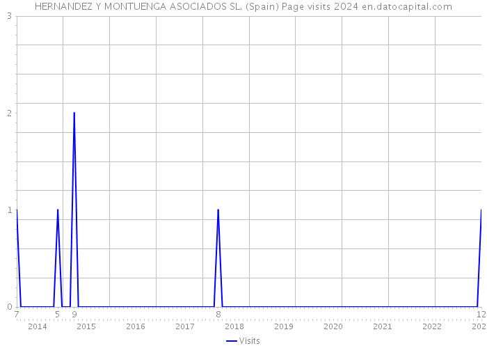 HERNANDEZ Y MONTUENGA ASOCIADOS SL. (Spain) Page visits 2024 
