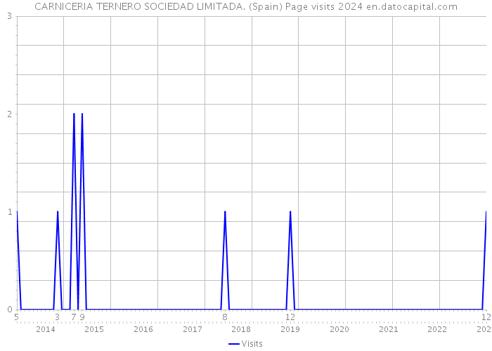 CARNICERIA TERNERO SOCIEDAD LIMITADA. (Spain) Page visits 2024 