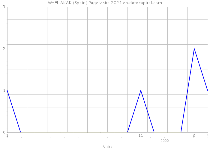 WAEL AKAK (Spain) Page visits 2024 