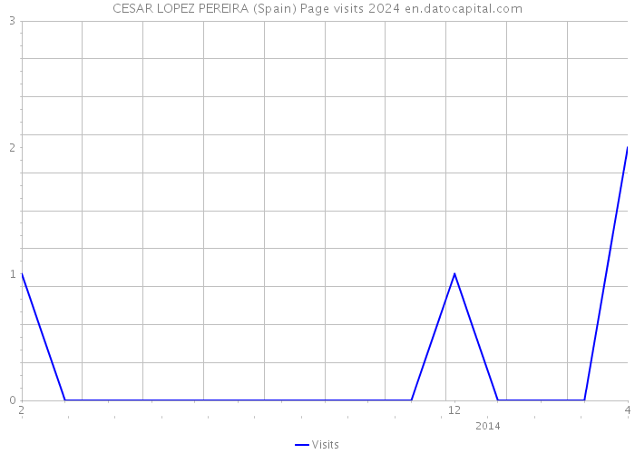 CESAR LOPEZ PEREIRA (Spain) Page visits 2024 