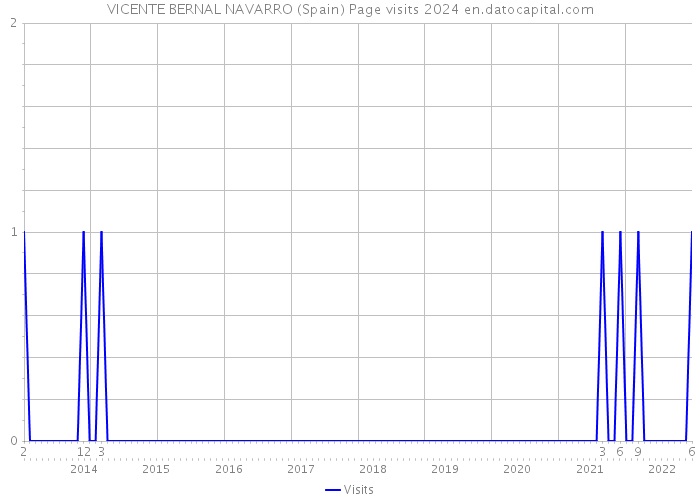 VICENTE BERNAL NAVARRO (Spain) Page visits 2024 