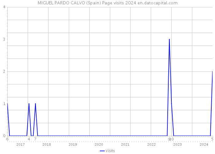 MIGUEL PARDO CALVO (Spain) Page visits 2024 