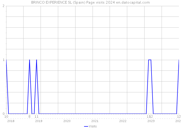 BRINCO EXPERIENCE SL (Spain) Page visits 2024 