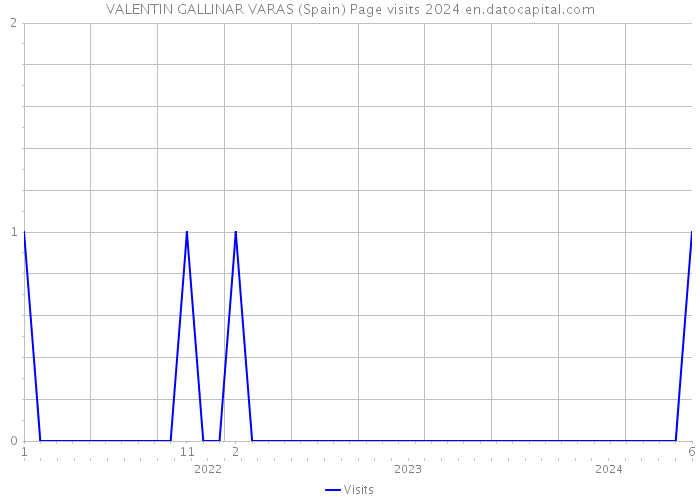 VALENTIN GALLINAR VARAS (Spain) Page visits 2024 