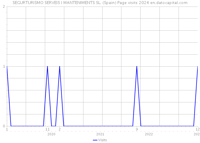 SEGURTURISMO SERVEIS I MANTENIMENTS SL. (Spain) Page visits 2024 