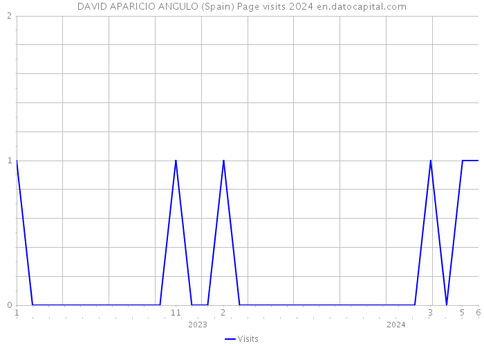 DAVID APARICIO ANGULO (Spain) Page visits 2024 