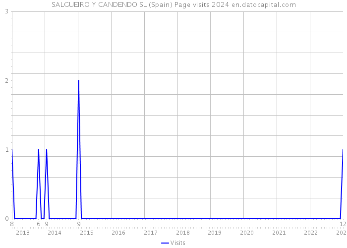 SALGUEIRO Y CANDENDO SL (Spain) Page visits 2024 