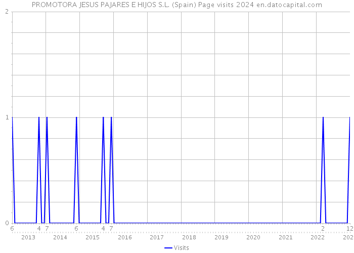 PROMOTORA JESUS PAJARES E HIJOS S.L. (Spain) Page visits 2024 