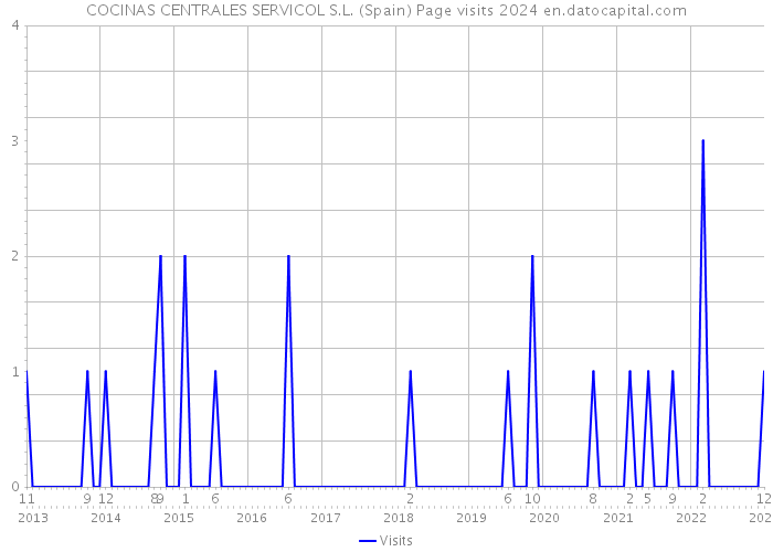 COCINAS CENTRALES SERVICOL S.L. (Spain) Page visits 2024 