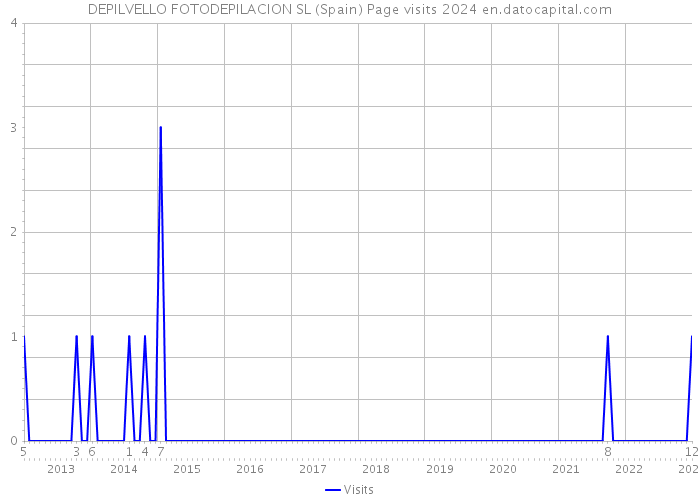 DEPILVELLO FOTODEPILACION SL (Spain) Page visits 2024 