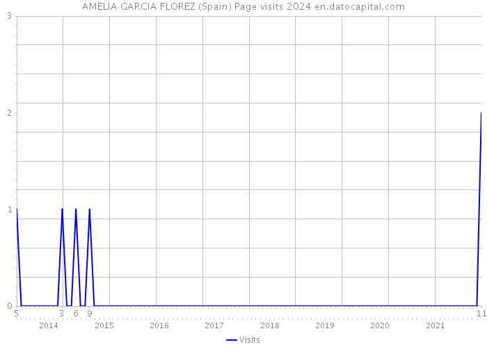 AMELIA GARCIA FLOREZ (Spain) Page visits 2024 