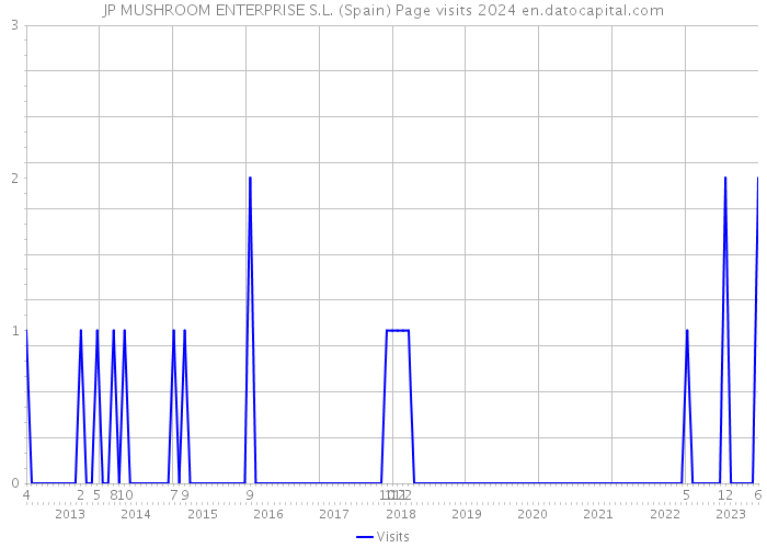 JP MUSHROOM ENTERPRISE S.L. (Spain) Page visits 2024 