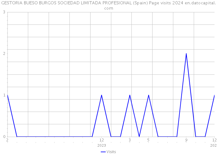 GESTORIA BUESO BURGOS SOCIEDAD LIMITADA PROFESIONAL (Spain) Page visits 2024 