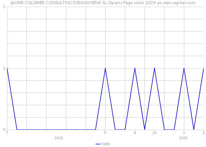 JAUME COLOMER CONSULTING D'ENGINYERIA SL (Spain) Page visits 2024 