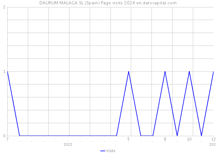 DAURUM MALAGA SL (Spain) Page visits 2024 