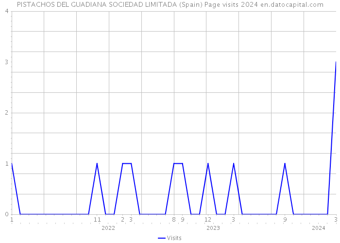 PISTACHOS DEL GUADIANA SOCIEDAD LIMITADA (Spain) Page visits 2024 