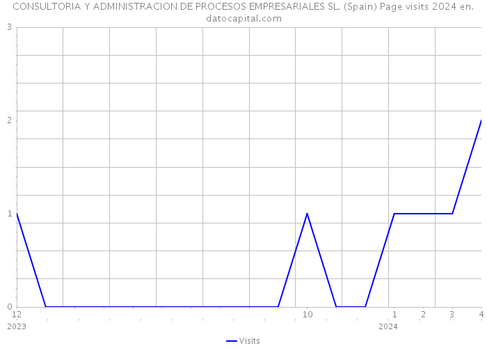 CONSULTORIA Y ADMINISTRACION DE PROCESOS EMPRESARIALES SL. (Spain) Page visits 2024 