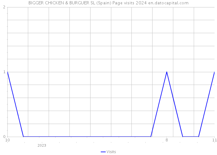BIGGER CHICKEN & BURGUER SL (Spain) Page visits 2024 