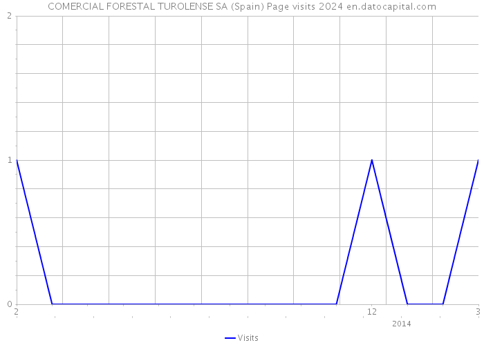 COMERCIAL FORESTAL TUROLENSE SA (Spain) Page visits 2024 