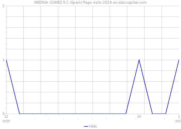 MEDINA GOMEZ S C (Spain) Page visits 2024 
